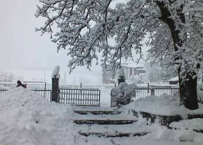 Chateau Vaptzarov Szálloda 4*